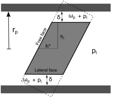 Figure 8.8: Tilted halite crystal at homogeneous pressure conﬁned in a pore with a square section.