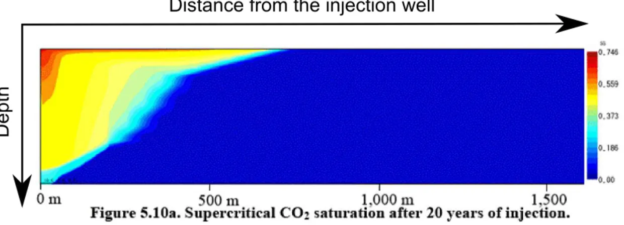Figure 6.2: Distribution of the CO 2 saturation according to numerical simulation (from [ 97 ]).