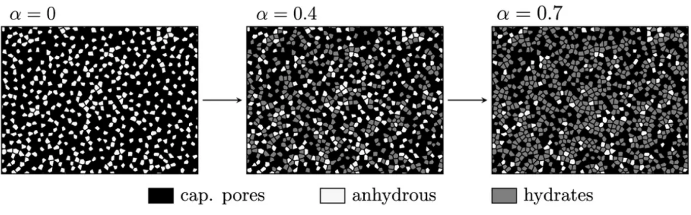 Figure 1.2 : Schematic two-dimensional representation of the evolving microstructure considered to model cement paste (w/c = 0.6).