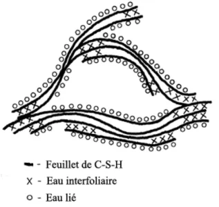 Figure 1-4- Modèle de Feldman et Sereda (1968) pour la structure de C-S-H 