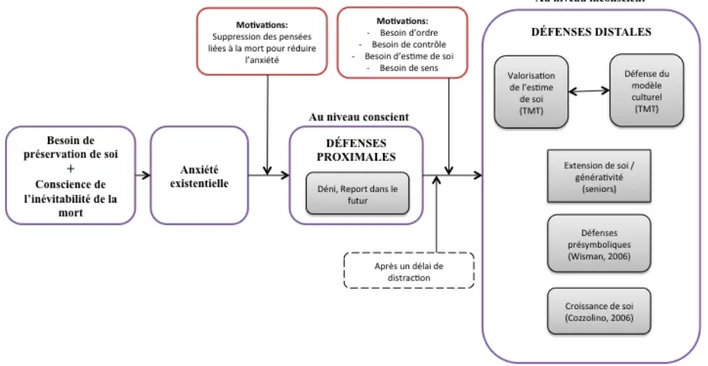 Figure 2.4.1. Les mécanismes et besoins suscités par la saillance de mortalité selon la TMT 