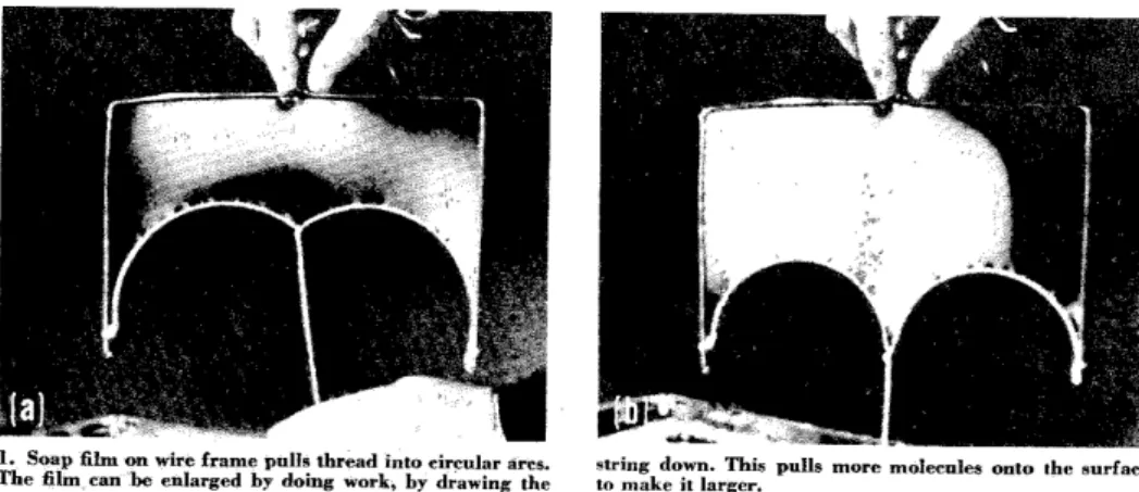 Figure 1.3 – Liquid soap film experiment, from [55].
