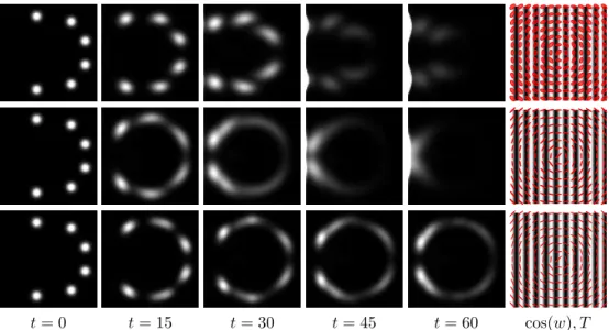Fig. 4.4 . Display of the evolution p t using anisotropic diffusion kernels. The right column