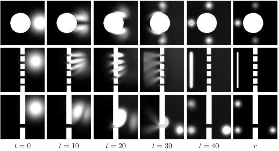 Figure 5.1 shows some examples of such a JKO flows computed on a rectangular grid of N = 100×100 points