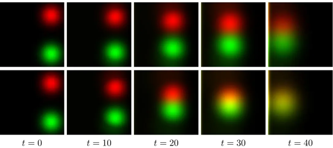 Fig. 5.2 . Evolution with a pairwise attraction between two densities, with congestion parameter κ = ||p 1,t=0 || ∞ = ||p 2,t=0 || ∞ 