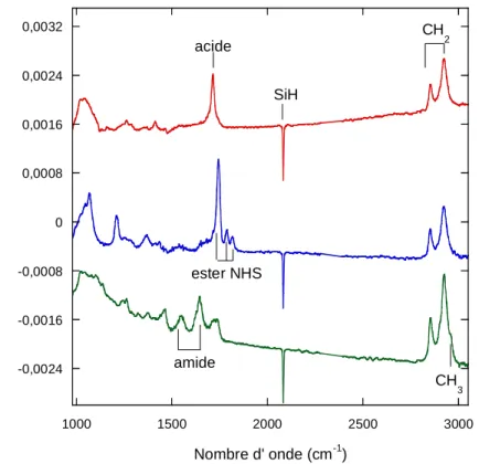 Figure  26 :  Spectres  infrarouges  d’une  surface  acide  (rouge),  activée  (bleu)  et  amidée  avec  l’hexylamine  10 -3   M  dans  le  PBS  1X  (vert)  en  polarisation  p
