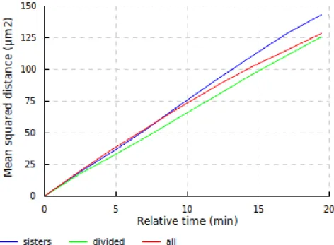 Figure 7.6: Evolution of the mean squared relative displacement of pairs of cells in initial form, first 25 minutes