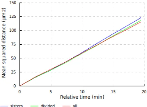 Figure 7.7: Evolution of the mean squared relative displacement of pairs of cells in averaged form, first 25 minutes
