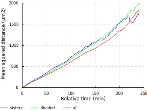 Figure 7.10: Evolution of the mean squared relative displacement of pairs of cells in initial form, first 4 hours