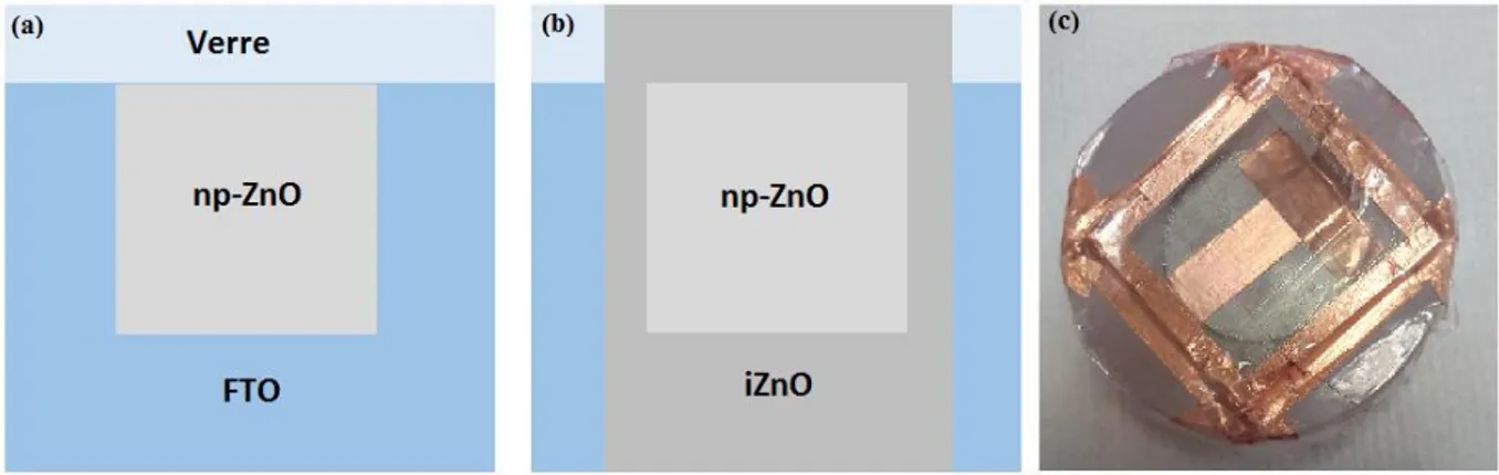 Figure II-  3 :  Délimitation  de  la  surface  active  de  dépôt  du  ZnO  nanoporeux  (np-ZnO)  sur 