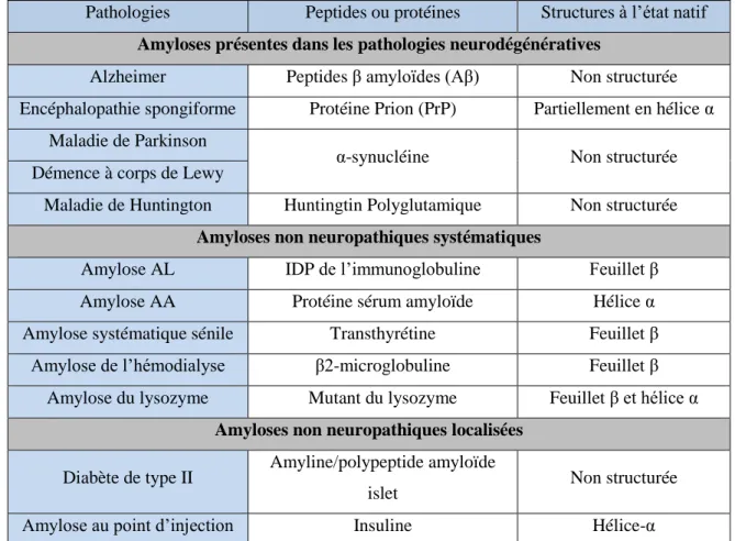 Tableau 1 – Quelques exemples d’amyloses et de leurs protéines associées.  Tiré  de [80]