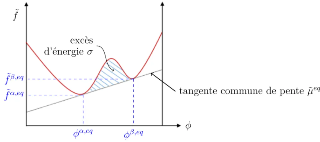 Figure 2.5 : Densité d’énergie libre « homogène » ˜ f et excès d’énergie libre à l’interface