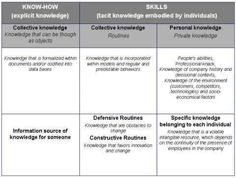 Table 1: The Two Main Categories of Company’s knowledge 