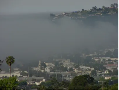 Fig. 2 : Brouillard par affaissement de stratus. Source : Ted Eckmann, Université California.
