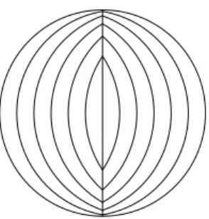 Figure 4.2 – Level sets of the z function