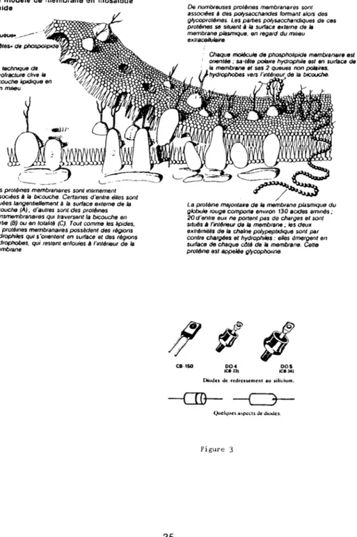 Figure 2 Le moaele de meme/ana en mosalCue fluide