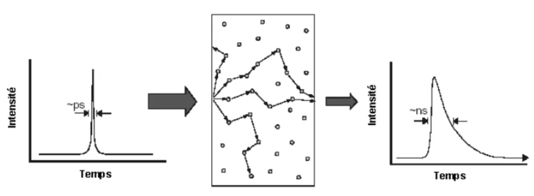 Fig. 1.7 – Sch´ema illustrant la propagation diffuse de la lumi`ere ` a travers une section ´epaisse de tissus.