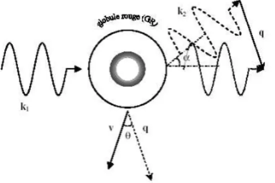 Fig. 2.2 – Ev´enement simple diffusion entre un photon et un diffuseur en mouvement (globule rouge)
