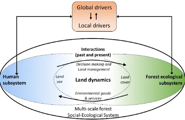 Figure  1.5  Multi-scale  forest  social-ecological  system  where  land  dynamics  are  at  the  intersection 
