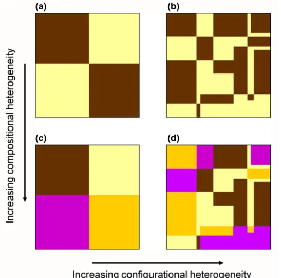 Figure 1.6 Two components of spatial heterogeneity: composition and configuration, extracted from 