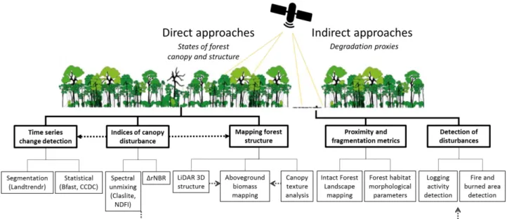 Figure  1.9  Direct and indirect approaches  to characterize  forest degradation/degraded forest using 