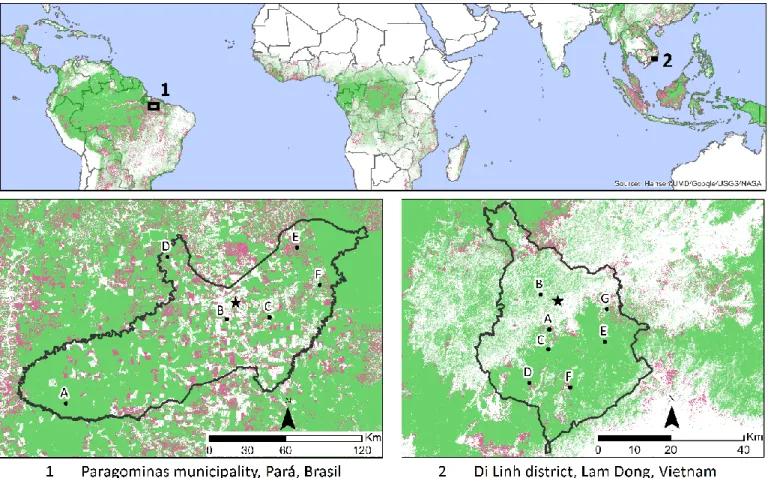 Figure 1.12 Study sites located in human-dominated tropical landscapes of deforestation fronts