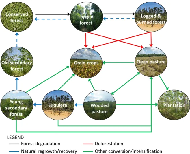 Figure 1.14 Systemic model of landscape elements dynamics in Paragominas in 2018 (non-exhaustive)