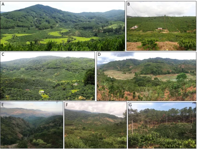 Figure 1.18 Diversity of landscape mosaics and land uses in Di Linh district (2018). See figure 1.12 for 