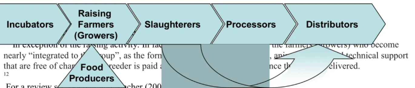 Figure 1: Representation of t  he poultry chain 