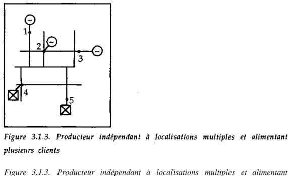 Figure 3.1.3. Producteur indépendant à localisations multiples et alimentant  plusieurs clients 