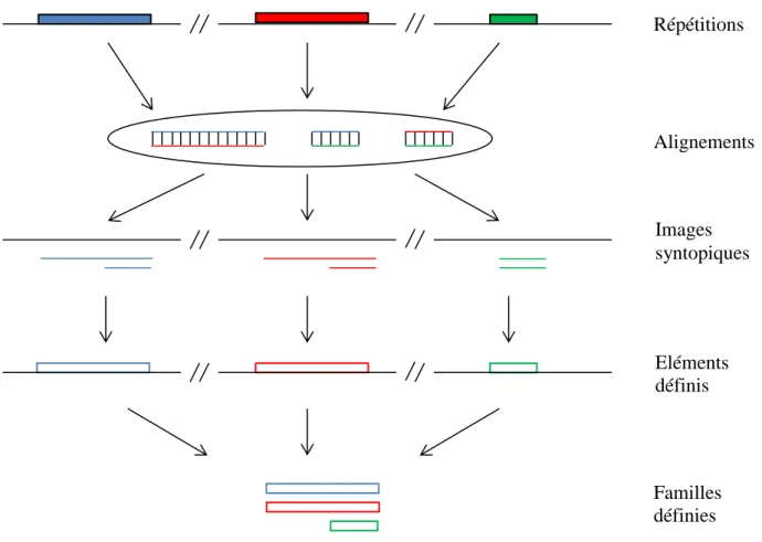 Figure  6 :  Schéma  de  la  méthodologie  d’anotation  de  novo  de  l’outil  RECON.  La 