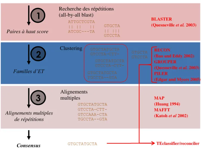 Figure  7 :  Protocole  de  détection  d’éléments  répétés  et  de  construction  de  séquences  consensus  par  le  pipeline  TEdenovo  de  l’outil  REPET