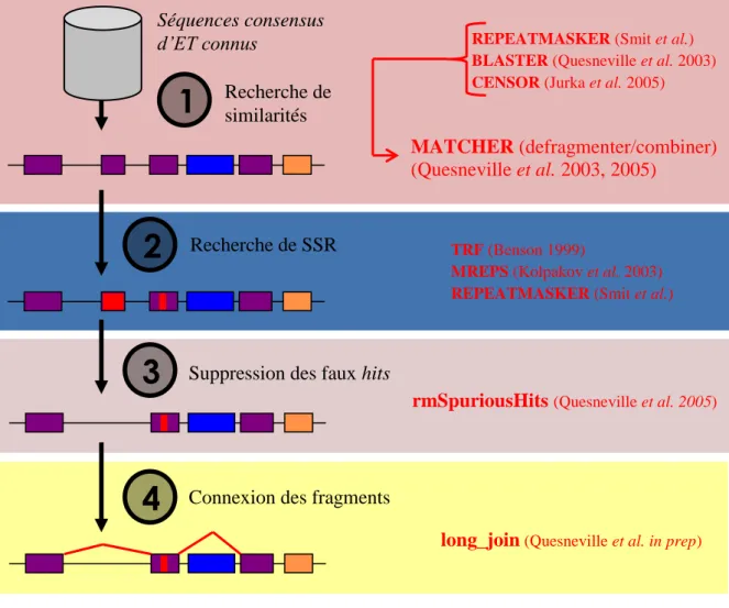 Figure 8 : Protocole d’annotation des éléments répétés par le pipeline TEannot de l’outil  REPET