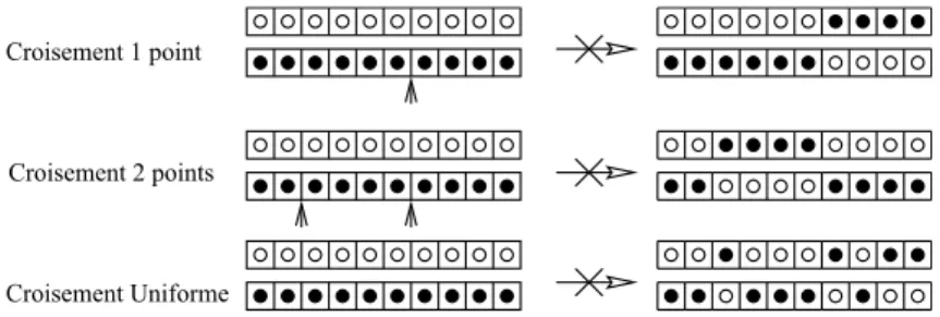 Figure 1.5 – Les croisements à échange de fragments : à 1 point, à 2 points et le croisement uniforme.