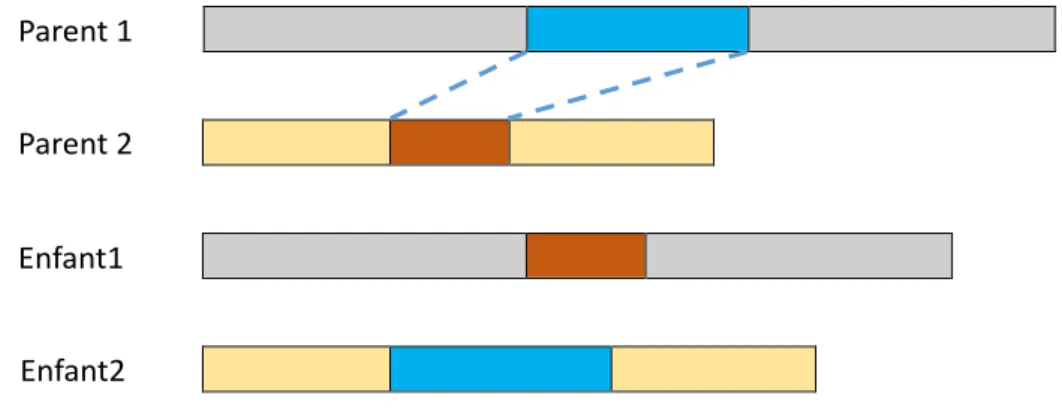 Figure 1.26 – Croisement dans LGP.