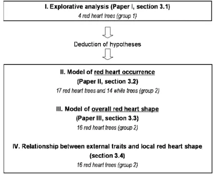 Figure 2. Structure of the analyses of red heart occurrence and shape (reported in sections   3.1,  3.2,  3.3  and  3.4)