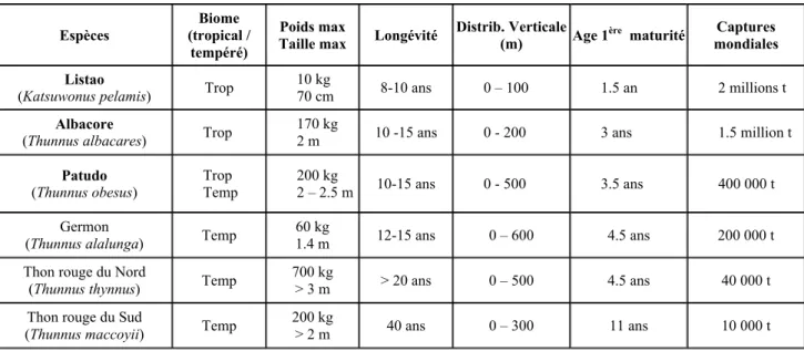 Table 1 : Caractéristiques des différentes espèces de thons. Source : Fonteneau et Marsac (IRD-THETIS)  Espèces  Biome   (tropical /  tempéré)  Poids max 