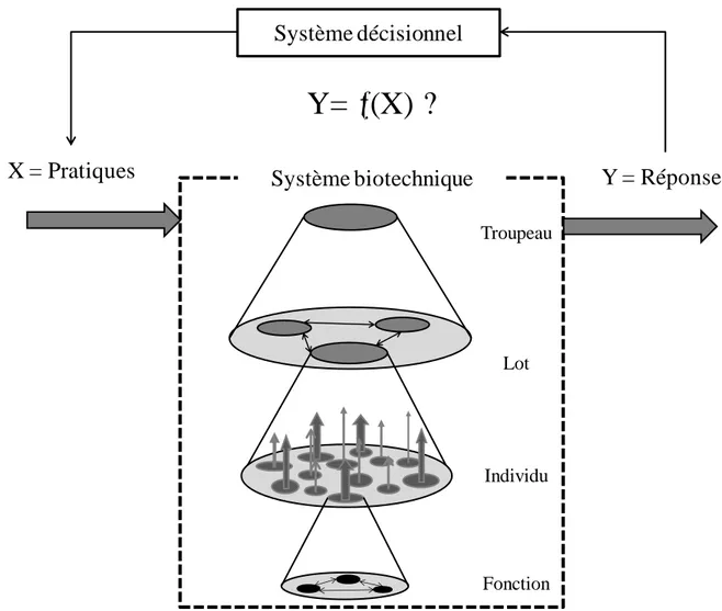 Figure  2  Représentation  conceptuelle  de  l‟élaboration  des  réponses  du  troupeau  sous  l‟effet  des  pratiques  aux  différents niveaux d‟organisation du système