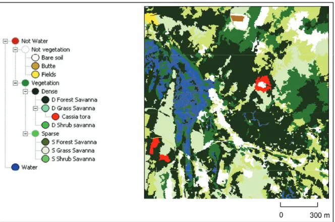 Figure 17 : Extrait de la carte d’occupation du sol réalisée à partir de l’image Quickbird acquise  le 04/08/2005 (Extrait de Soti et al