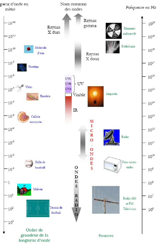 Figure 5. Le spectre électromagnétique et exemples d’ordre de grandeur et d’utilisations   