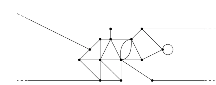Figure 5.1. a general noncompact metric graph.