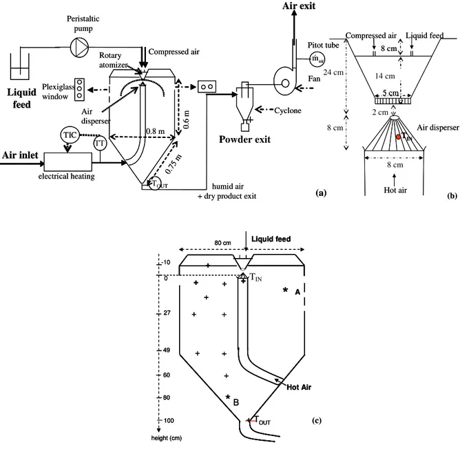 Figure 2.1.  Flowsheet of Niro Minor pilot spray dryer plant (a); (b) Details of rotary atomizer and air  disperser; (c) Positions of thermocouples (+) and hygrometer (*) inside the chamber