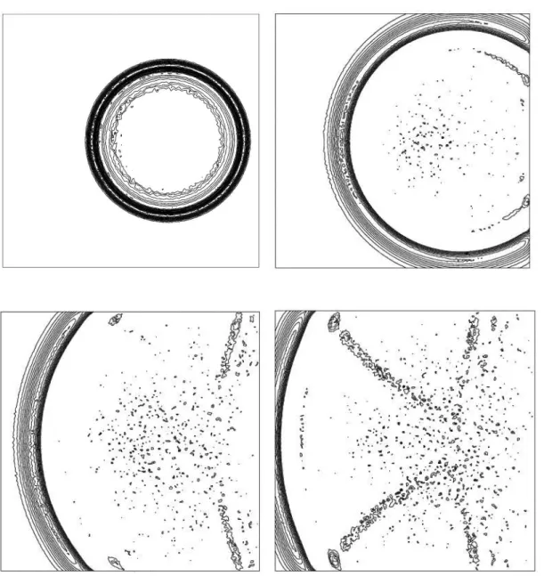 Fig. 4.4 – 20 isovaleurs de δp dans le cas de l’approximation P 0 associ´ee ` a la condition (2.29) aux instants t 1 , t 2 , t 3 et t 4 (de gauche ` a droite et de haut en bas)