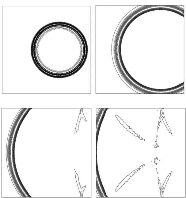 Fig. 4.5 – 20 isovaleurs de δp dans le cas de l’approximation P 1 associ´ee ` a la condition (2.29) aux instants t 1 , t 2 , t 3 et t 4 (de gauche ` a droite et de haut en bas)