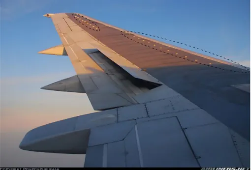 Figure 1.4 – Générateurs de vortex sur l’aile d’un Boeing 737. Les deux séries de 15 et 9 VG sont cerclées.