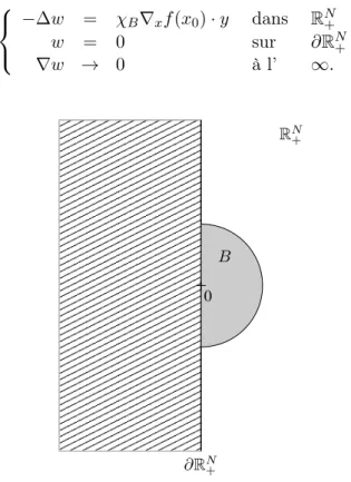 Figure 2.6 – Zoom sur une perturbation centrée en un point du bord du domaine.