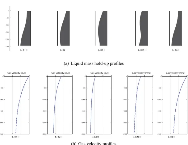 Figure 1.10: Liquid mass hold-up and gas velocity profiles at di fferent time instants