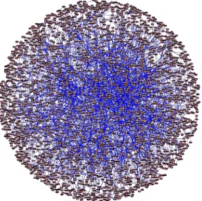 Figure 2: Fly protein-protein interaction network. Vertices (nodes) represent proteins and edges correspond to protein-protein interactions.
