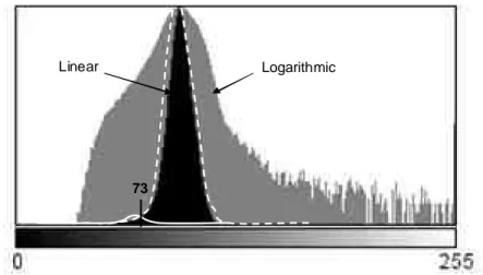 Figure 5. Histogram of the image (linear and logarithmic scale) with the fitted Gaussians and the obtained  threshold value