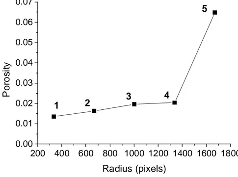 Figure 11. Changes in macro porosity with respect to the radius of the ring selected. 